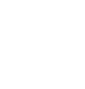 Logo von Study & Work International